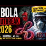Everything You Need To Know About The Ebola Outbreak : Expert Answers to 3 Common Questions